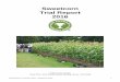 Sweetcorn Trial Report 2016 - RHSapps.rhs.org.uk/planttrials/TrialReports/Sweet Corn 2016.pdf · Final Report for Trial No. 2023 – Sweetcorn 2016 6 MIRAI WHITE M421 'Mirai 421W