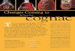 Changes Coming to cognac - bevnetwork.com Coming to By Garrett Peckcognac A Shifting Category Although the overall brandy category is barely keeping up with the rate of inflation in