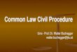 Common Law Civil Procedure · Common Law Civil Procedure Univ.- Prof. Dr. Walter Buchegger walter.buchegger@jku.at
