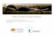 Rural Alberta Homelessness - Alberta Human Services€¦ · rural alberta homelessness: jeannette waegemakers schiff, phd. alina turner, phd, turner research & strategy inc. may 16,