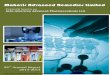 Mahavir Advanced Remedies Limited - .Indo-American Advanced Pharmaceuticals Ltd. 22nd Annual Report