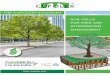 SOIL CELLS FOR TREE AND STORMWATER MANAGEMENT …cupolex.ca/downloads/brochures/Cupolex Soil Cells.pdf · SOIL CELLS FOR TREE AND STORMWATER MANAGEMENT E N V I V O N M ... and form