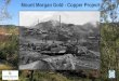 Mount Morgan Gold - Copper Project - Carbine Resources · •Newly completed Indicated Mineral Resources 9.35Mt @ 1.12g/t Au, 0.15% ... Resource 0.84Mt @ 2.19g/t Au3 •Definitive