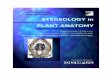Stereology in plant anatomy - Univerzita Karlovakfrserver.natur.cuni.cz/.../1999_Kubinova,Albrechtova-stereology.pdf · Kubínová, Albrechtová: STEREOLOGY IN PLANT ANATOMY_____