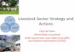 Livestock sector strategy and actions - Home | … Wildlife Domestic animals Livestock Sector Strategy and Actions Cees de Haan World Bank consultant With inputs from Juan Pablo Ruiz