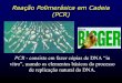 Reação Polimerásica em Cadeia (PCR) - dbbm.fiocruz.br · (PCR) PCR - consiste em fazer cópias de DNA “in vitro”, ... 2. Anneal: 37 ° C - 65 ° C Primers bind to specific