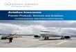 Aviation Insurance - OldRepublicAerospace Risk... · Aviation Insurance Premier Products, Services and Solutions - A Comprehensive View of Risk Control Services Insuring New Horizons