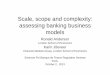 Scale, scope and complexity: assessing banking business …econ.sciences-po.fr/sites/default/files/file/Ronald Anderson 02-10... · research had been unable to find economies of scale