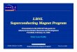 LBNL Superconducting Magnet Program Superconducting Magnet Program Presentation to the HEPAP Sub-panel on Advanced Accelerator Research and Development Fermilab, February 15, 2006