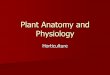 Plant Anatomy and Physiology Anatomy Organs –Flower ... Plant Tissues Vascular ... Label the worksheet and tape the corresponding plant part to the paper. Review List and Describe