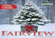 FAR 11 Dec 2015 Final 1115 - Fairview, Texas · Fairview Town News IN THIS ISSUE: ACO Holiday Outreach 5 Alarm Permit Renewals 7 Christmas Tree Safety 9 Creekwood UMC Nativity …