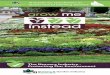 A Guide for Gardeners in - Grow Me Instead · Darling Committee (QMDC) in producing ... Special thanks go to the members of the Darling Downs Grow Me ... Of the almost 3000 introduced