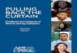 PULLING BACK THE CURTAIN - American Council on … · AMERICAN COUNCIL ON EDUCATION 1 PULLING BACK THE CURTAIN Enrollment and Outcomes at Minority Serving Institutions Lorelle L