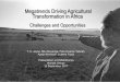 Megatrends Driving Agricultural Transformation in Africafoodsecuritypolicy.msu.edu/uploads/resources/USAIDKenya-Jayne... · Megatrends Driving Agricultural Transformation in Africa