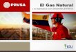 El Gas Natural - IGU | Welcome to the Global Gas Portal INTERNATIONAL GAS UNION... · Reservas del Gas a nivel mundial y en ... Líquidos del Gas Natural / GLP: ... Infraestructura