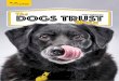 The DOGS TRUST Menu · Table manners at Dogs Trust Good manners may well cost nothing, but at Dogs Trust they are considered priceless. In order to help our dogs find