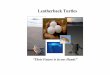Leatherback Turtles - SPELLpacificschoolserver.org/content/_public/Environment/Natural Habitat...Biology and Ecology The leatherback turtle is the largest sea turtle (a reptile) in