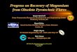 Recovery of Magnesium from Pyrotechnic Flares · Progress on Recovery of Magnesium from Obsolete Pyrotechnic Flares ... • Developed pilot-scale waterjet process to remove flare