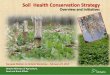 Overview and Initiatives - Conseil canadien du compostcompost.org/English/PDF/WRW_2017/ON/Soil_Health... · Overview and Initiatives ... Sb=Soybean, W=Wheat, Wrc=Wheat underseeded