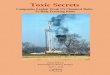 Toxic Secrets - pfpi.net Secrets Dusty Horwitt Partnership for Policy Integrity ... fracking and drilling chemicals are likely to be considered safe because risk is assessed as the