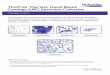 ThinPrep Pap test: Liquid Based Cytology (LBC) Specimen ...thinprep.com.au/assets/MED-00248-AUS-EN Rev 001 ThinPrep Pap Te… · Training bulletin ThinPrep® Pap test: Liquid Based