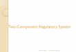 Two-Component Regulatory System - MYcsvtu Notesmycsvtunotes.weebly.com/uploads/1/0/1/7/10174835/et_unit...Two Component Regulatory Systems A two-component regulatory system is a signal