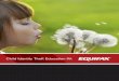 Child Identity Theft Education Kit - equifax.com support for two children, has a suspended driving license, ... • Fraudulently receive welfare, unemployment or medical benefits 4