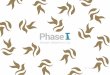 Phase - Sharjah Oasis · use while the complete development of Phase 1 will take place in 3 years. • Sharjah WFC Phase 1 will be spread across two ... Phase 1 will develop overall