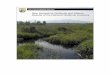 New Hampshire Wetlands and Waters: Results of the … · Results of the National Wetlands Inventory . ... New Hampshire Wetlands and Waters: Results of the National ... Additional