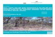 Flora, Fauna and Net Gain Assessment of the Big Hill and ... · Flora, Fauna and Net Gain Assessments: Big Hill, Davis, TWRS, Additional areas and Haulage Rd, Stawell, Victoria ii