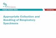 Appropriate Collection and Handling of Respiratory … · Appropriate Collection and Handling of Respiratory Specimens. ... may enhance MERS-CoV diagnosis. ... APHL PPT Template Author: