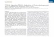 Cell Metabolism Article - UT Southwestern Home Metabolism Article ... 2007). Recent clinical trials report that long-term ... β-catenin flox/flox Relative mRNA (x10-3) PGC1b 0 2 4