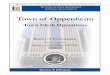 Town of Oppenheim - osc.state.ny.us · Following is a report of our audit of the Town of Oppenheim, entitled Town Clerk Operations. This audit was conducted pursuant to Article V,
