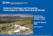 Analysis of Hydrogen and Competing Technologies for ... · Analysis of Hydrogen and Competing Technologies for Utility -Scale Energy Storage HTAC Meeting ... o The storage system
