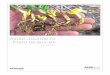 Agricultural Waste Fibers Towards Sustainability and ...docsdrive.com/pdfs/ansinet/ajps/2016/42-55.pdf · Agricultural Waste Fibers Towards Sustainability and Advanced ... of the