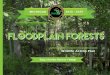 floodplain Forestsfloodplain Forests - Michigan · What is the Health of . Floodplain forests? Natural communities are tracked in the state’s Natural Heritage . Database, which