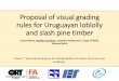 Proposal of visual grading rules for Uruguayan loblolly ... 2016... · Uruguayan loblolly/slash pine lumber and the ... for coniferous lumber. Flow chart of the analysis process in