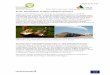 01-01: Introduction to ligno-cellulosic biomassbisyplan.bioenarea.eu/html-files-en/01-01.pdf · BISYPLAN Handbook Gianni Picchi, Lapo Casini, Jakub Sandak, Anna Sandak 01-01: Introduction