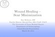 Wound Healing – Scar .Wound Healing – Scar Minimization ... Optimization of wound healing •