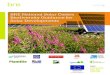 BRE National Solar Centre Biodiversity Guidance for Solar ... Library/NSC Publications... · This document should be cited as: BRE (2014) Biodiversity Guidance for Solar Developments
