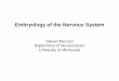 Embryology of the Nervous System - University of Minnesotamcloonlab.neuroscience.umn.edu/8211/lectures/02.pdf · Embryology of the Nervous System Steven McLoon Department of Neuroscience