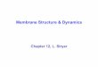 Membrane Structure & Dynamics - Wikis · MEMBRANE STRUCTURE & DYNAMICS INTRODUCTION ¥Why are membranes important ¥Common features ¥Basic experiments ... Ether bonds are more resistant