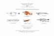 Gulf of California Seafood Report - Home - SeaChoice · Seafood Watch® and Seafood Reports are made possible through a grant from the David and Lucile Packard Foundation. Gulf of