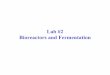 Lab #2 Bioreactors and Fermentation - Nc State University · Outline •Goals of Lab •Yeast •Fermentation •Bioreactor •Analysis equipment –Hemacytometer, cellometer, spectrophotometer,