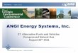 ANGI Energy Systems, Inc. · ANGI Energy Systems, Inc. 27. ... CNG Combo Station. ... CNG Mother Station. ANGI PROFILE • August 16, 2011 10 CNG Daughter Station
