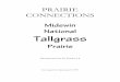 Midewin National Tallgrass - DePaul Universityteacher.depaul.edu/Prairie_Units/Prairie_Connections.pdf · The unit focuses on the Midewin National Tallgrass Prairie, a unique site