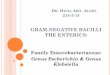 GRAM-NEGATIVE BACILLI THE ENTERICS: Family Enterobacteriaceae 2… · GRAM-NEGATIVE BACILLI THE ENTERICS: Family Enterobacteriaceae: Genus Escherichia & Genus Klebsiella. ... E. coli