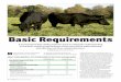 Basic Requirements - Angus Journal Nutrition 01_14 AJ.pdf · eeting the basic nutrient requirements ... nutrition-related decisions. In most production situations, the basis for cow