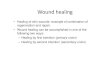 Wound healing - gmch.gov.in lectures/Pathology/L10 wound   Wound healing â€¢ Healing of skin wounds