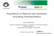 Transitions in Natural Gas Systems, including Transportation · Transitions in Natural Gas Systems, including Transportation FAPESP-NERC Workshop on Sustainable Gas Future Celso Morooka